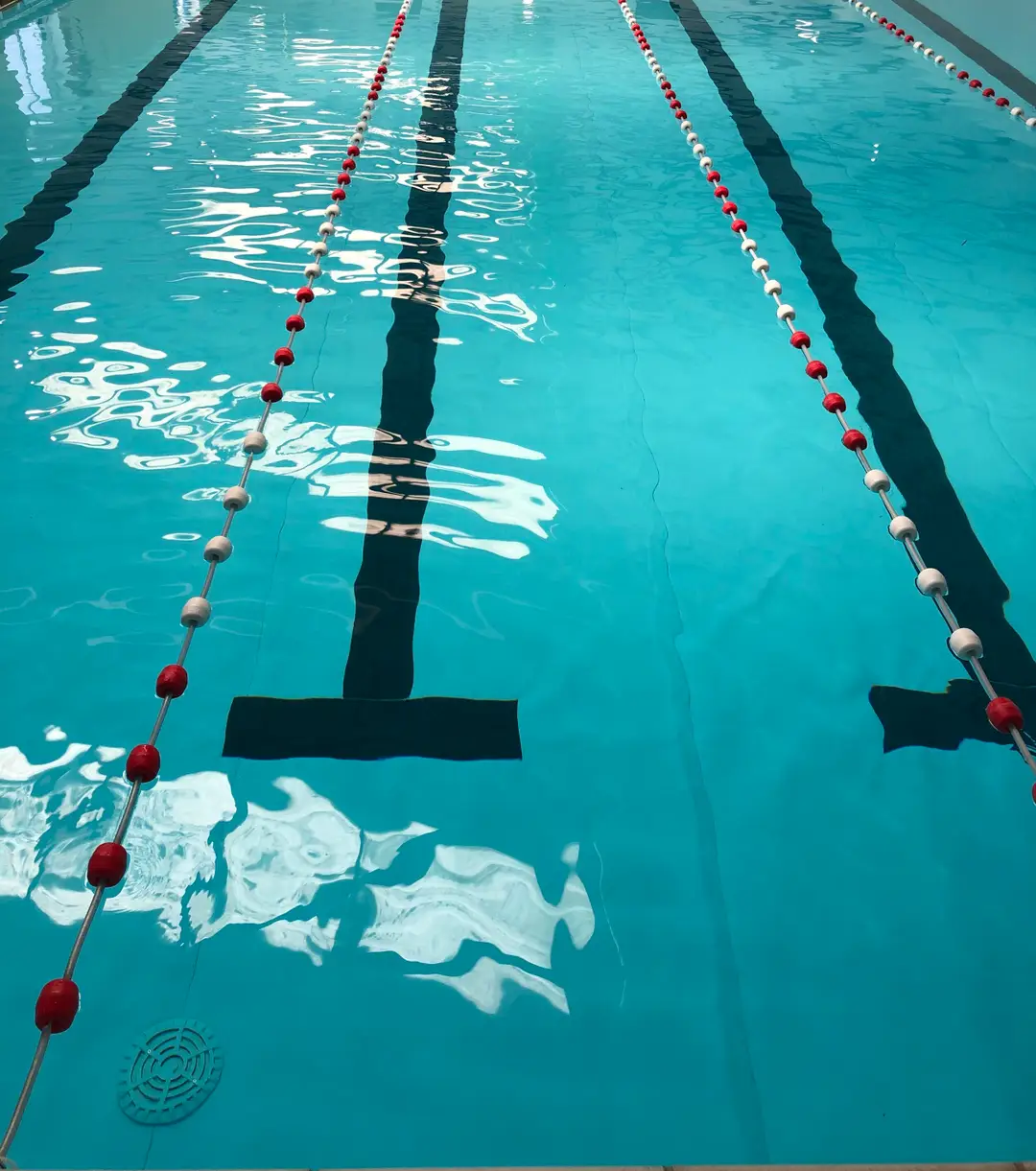 Stacy's school of swimming