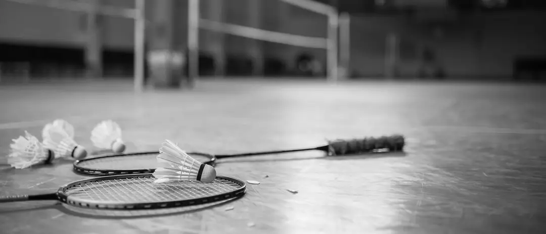 Badminton CODEP 41