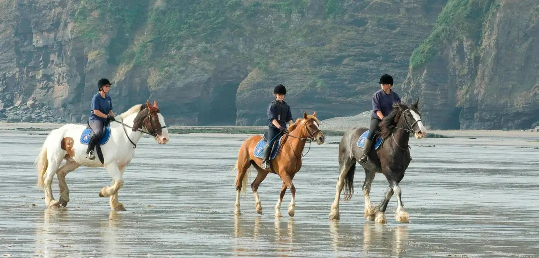 Marros Riding Centre