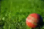 Marston Green Cricket Club
