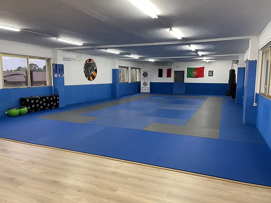 Cobra Kaï Combat 83