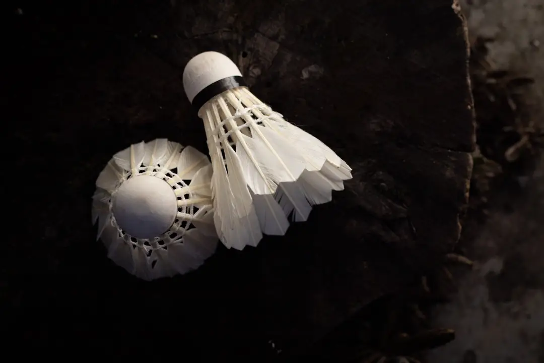 Gosport Borough Badminton Club