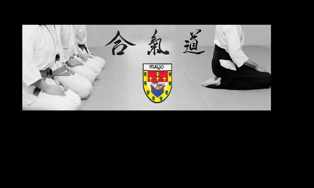 Aikido Mayo