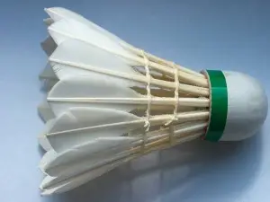 Châtel Badminton [CB63]