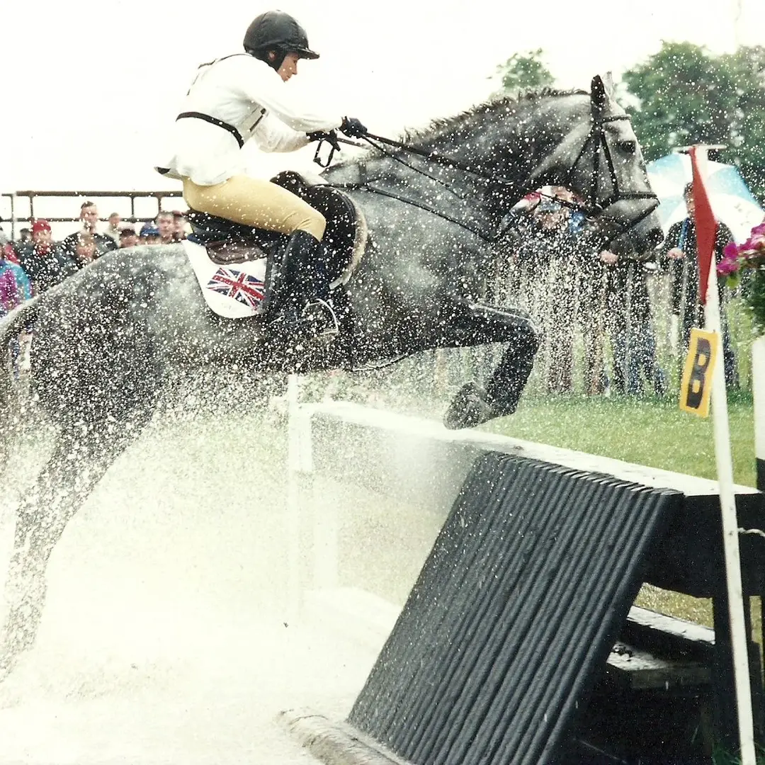 Lincoln Stud