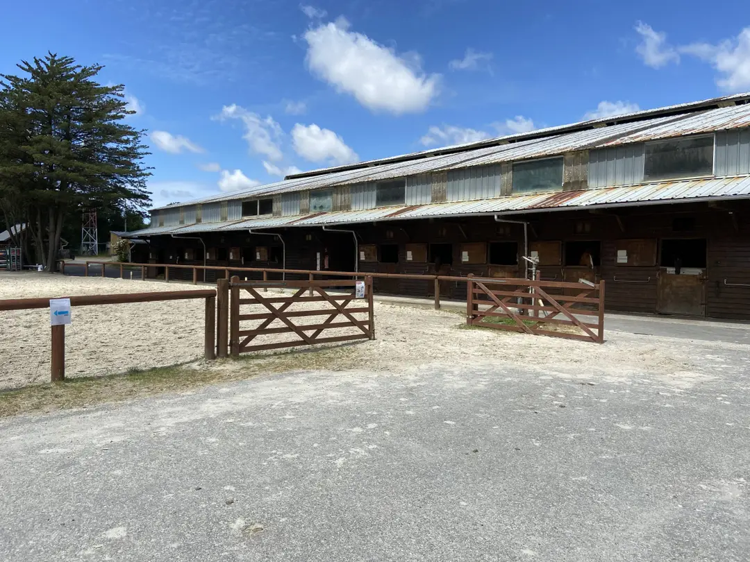 Carousel Des Platanes