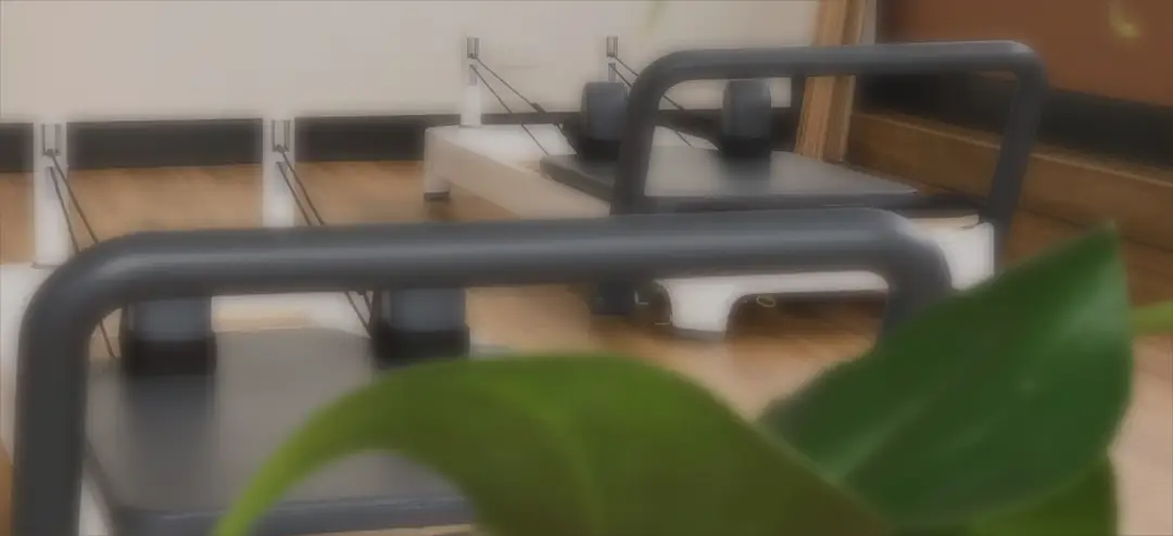 Wellnest Health