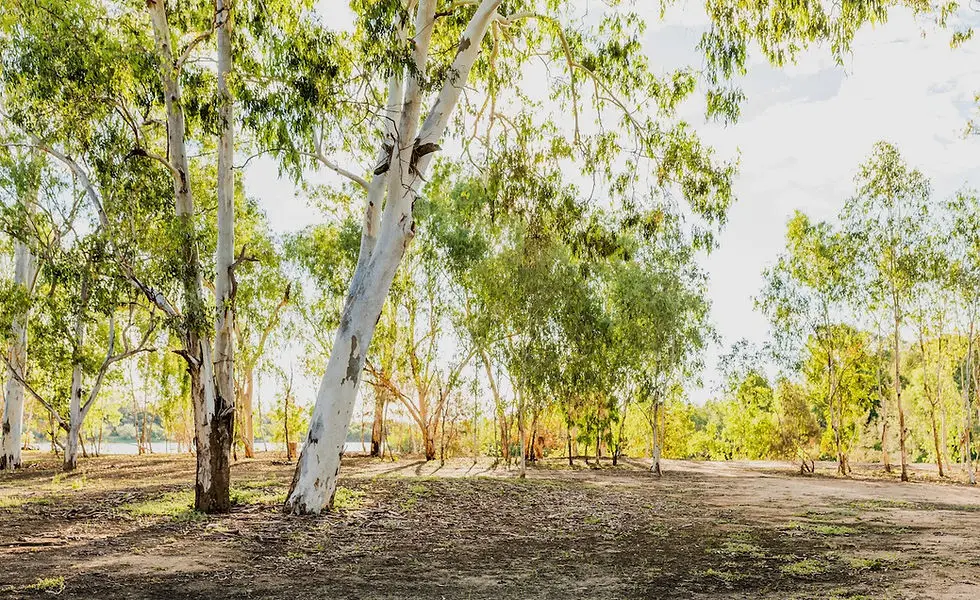 Lang Lang Foreshore Caravan Park