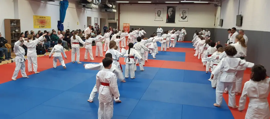 St Albans Judo Club