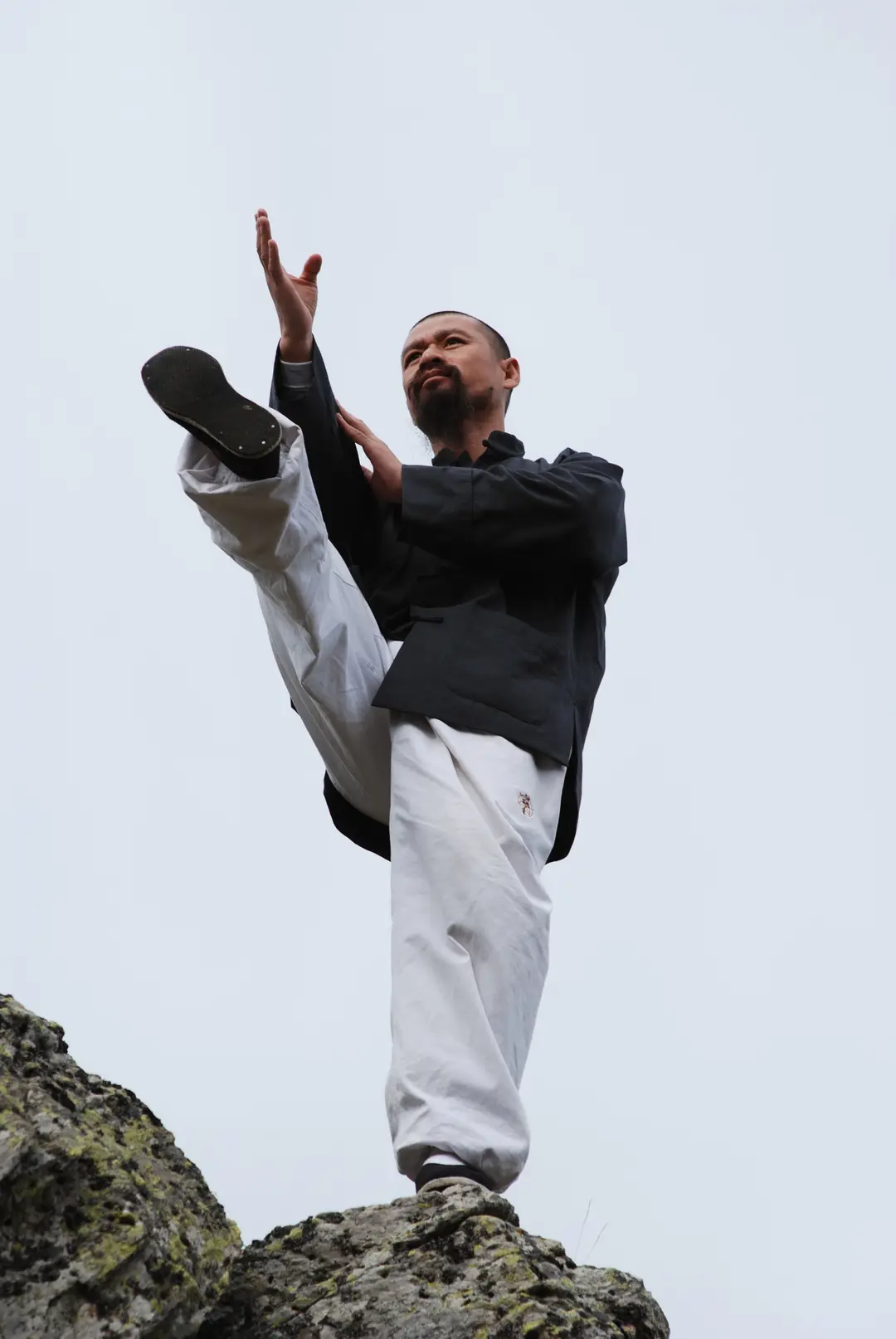 SIU LIM TAO WING CHUN KUNG FU