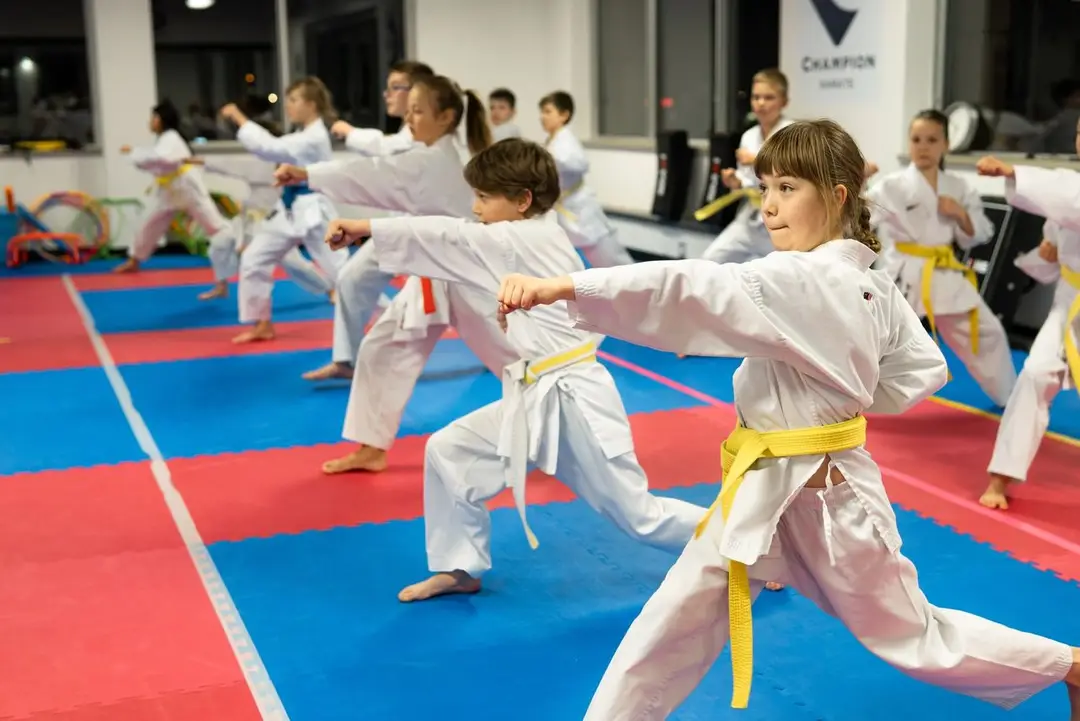 Champion Karate