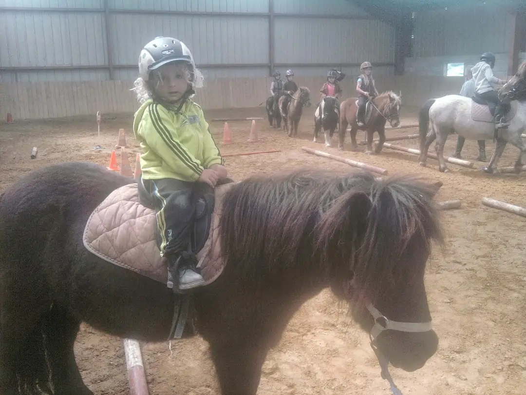 AU PETIT MANEGE