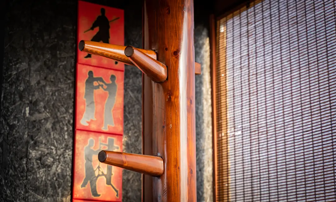 Combined Arts Wing Chun Kung Fu and Qigong Martial Arts School
