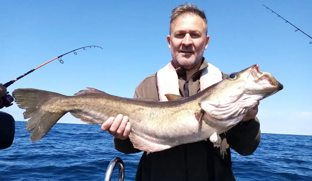 YDFishing