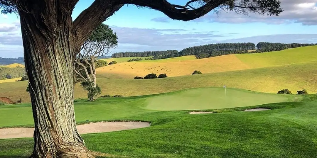 Golf Mind Play
