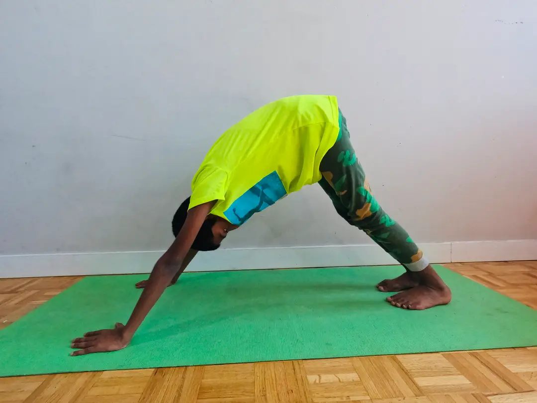 Sai Patanjali International Yoga Academy