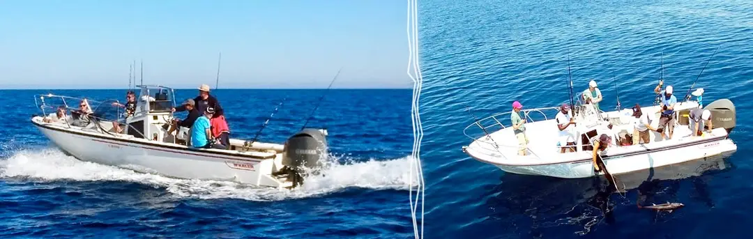 Camargue Fishing