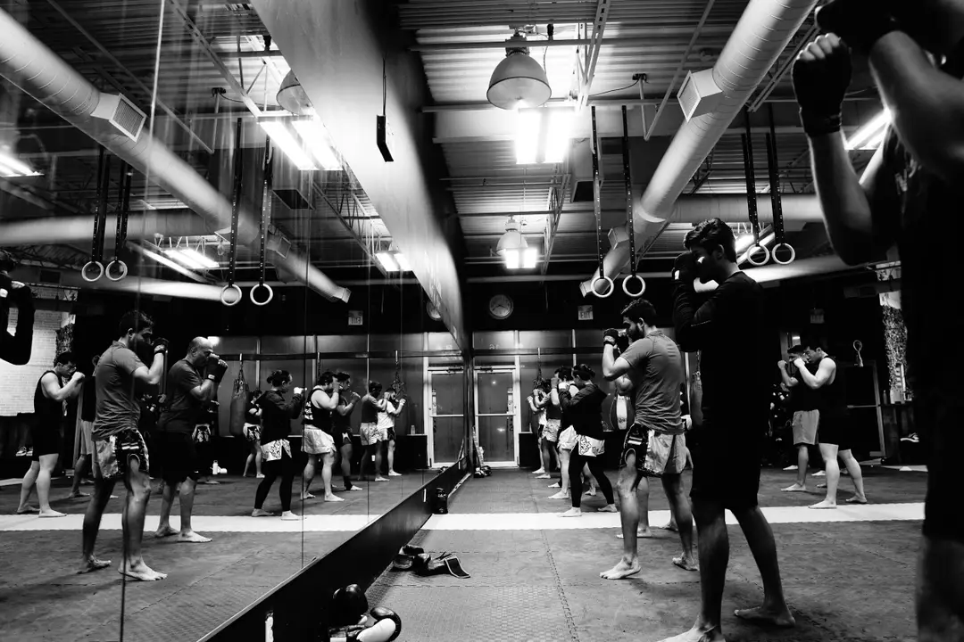 Movement Patterns