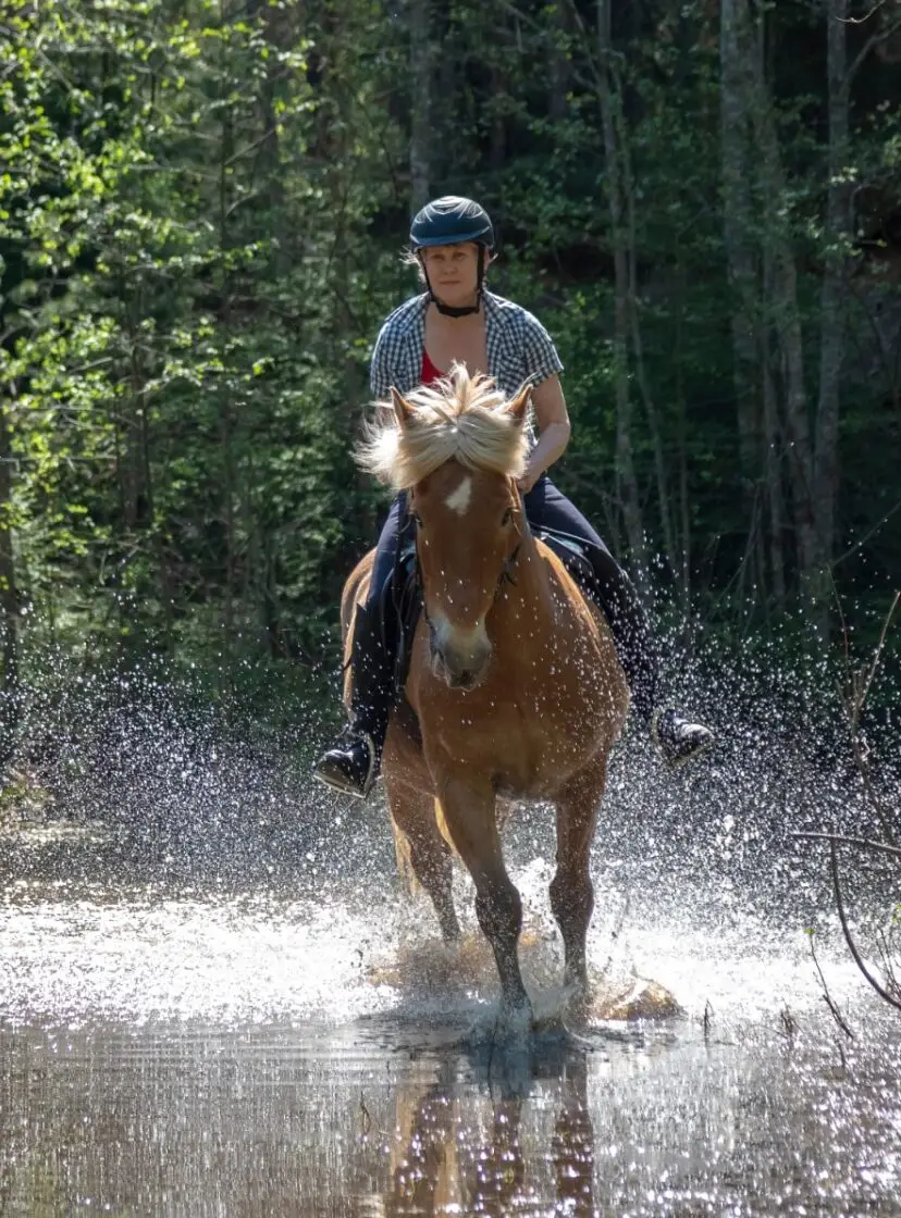 Anne Gage - The Horse Riding Confidence Coach