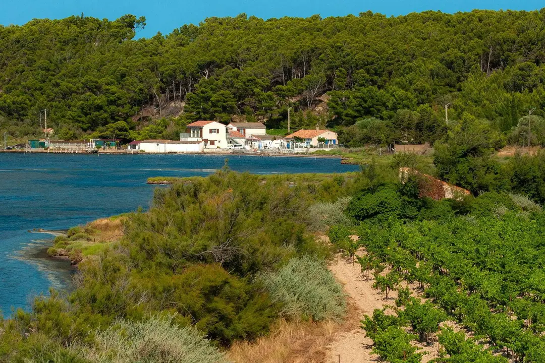 Camping Tohapi Ensoya