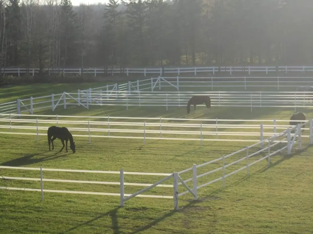 Oxford Ridge Stable