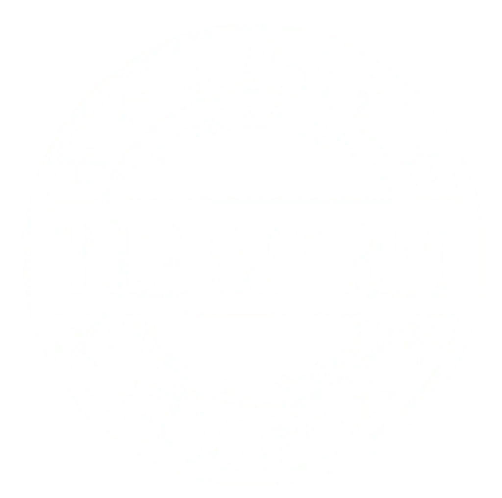 The Secret Stage School