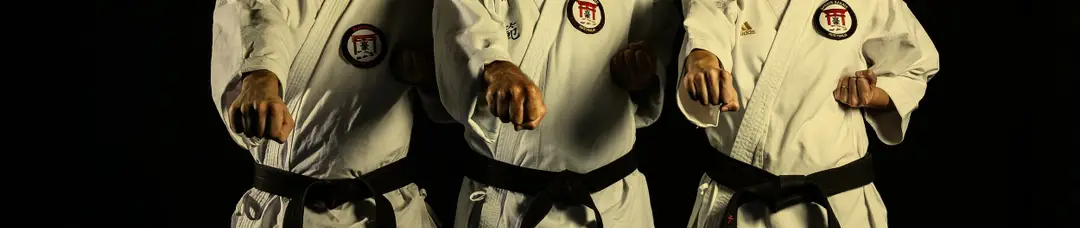 Warren Hickeys Precision Martial Arts