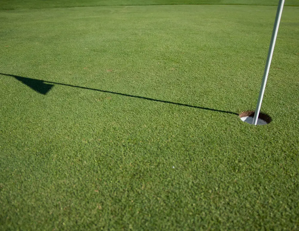 CSW GOLF COACHING LONDON