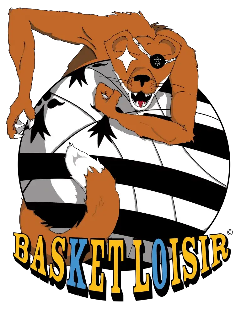 Basket Loisir