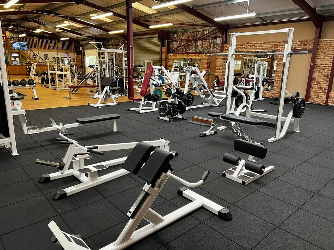 Quo Vadis Gym