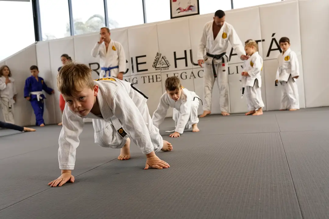 Gracie Jiu-jitsu Mona vale