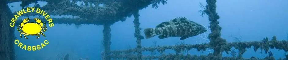 Crawley Divers