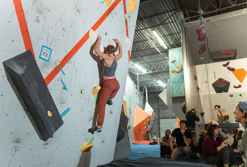 Vertical Adventures