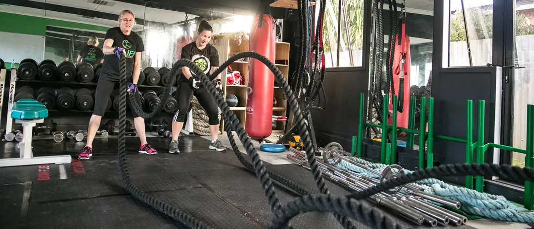 D65 Fitness