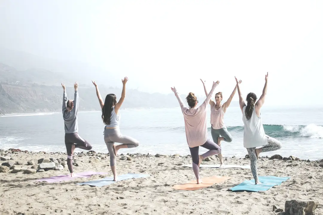 Mvmt+ Yoga Collective