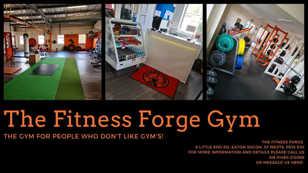 The Fitness Forge