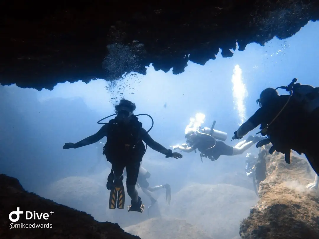 Chillington Divers