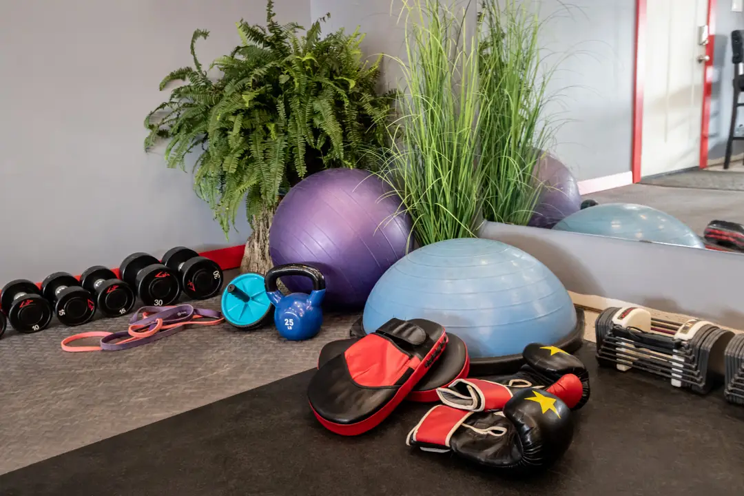 MegaFit
