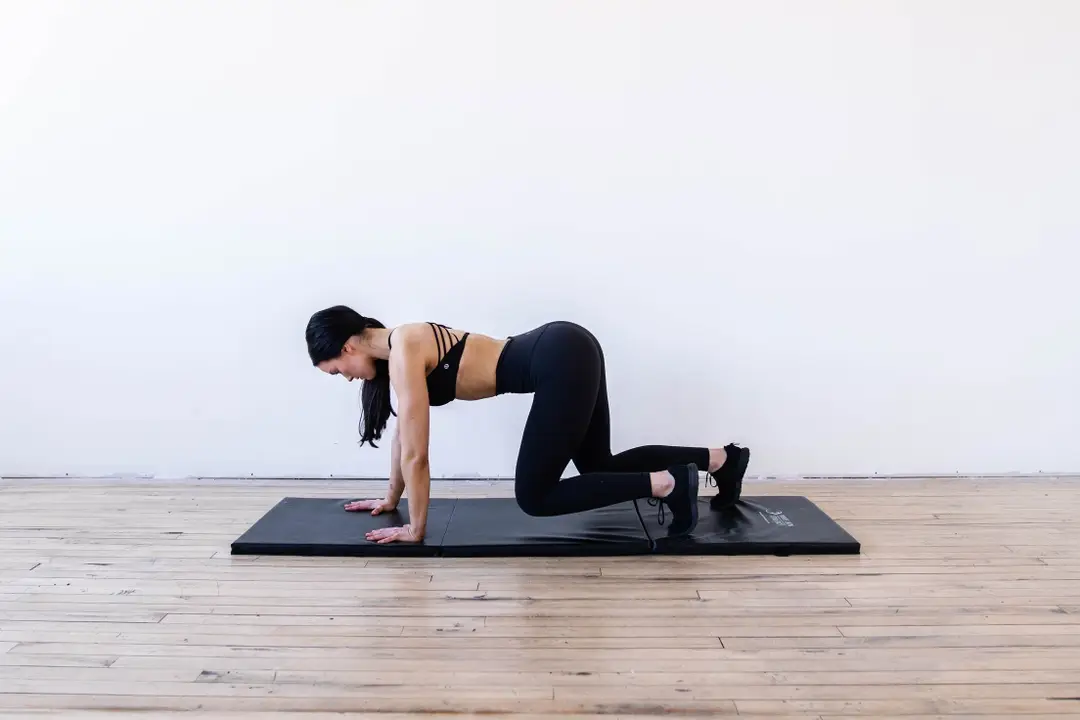 The Fit Girl Gang