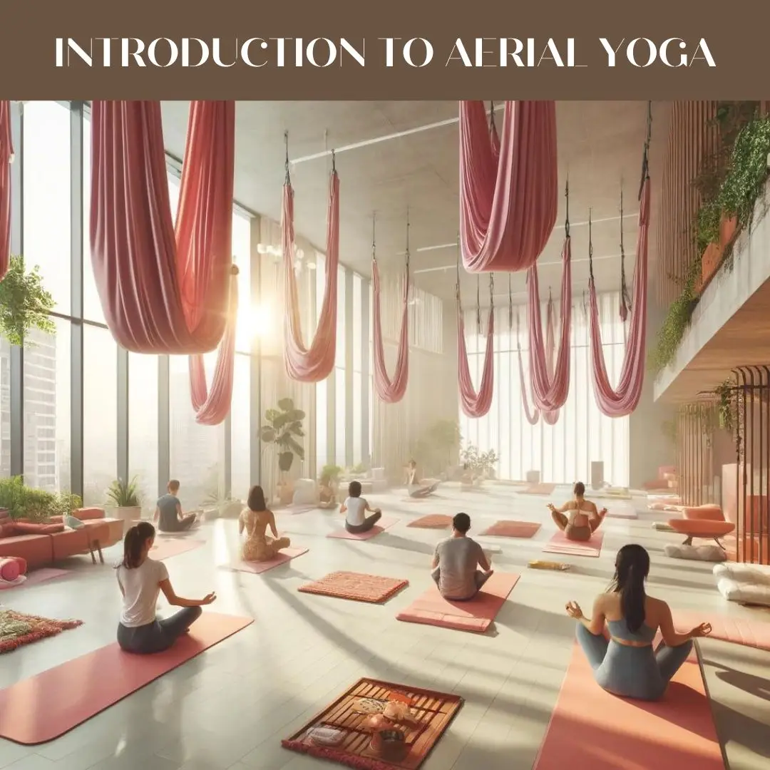 The Pink Lotus Academia- Yoga, Music and Dance