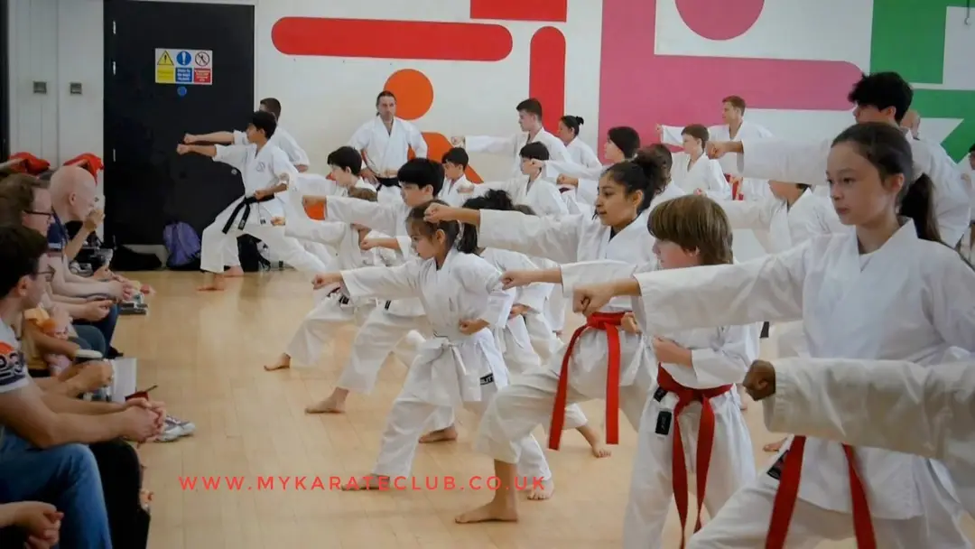 My Karate Club