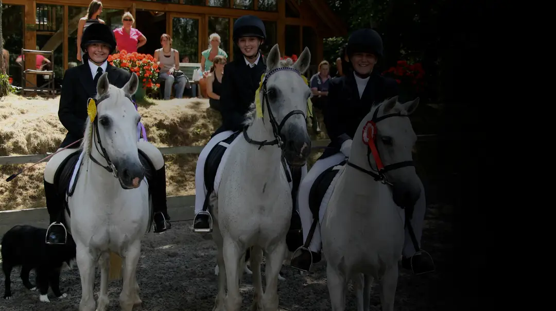 Budleigh Salterton Riding School