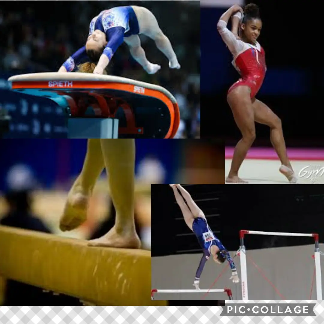 Association Gymnique Fameckoise
