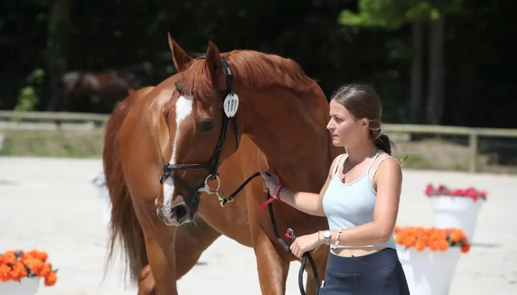 The Green Mare