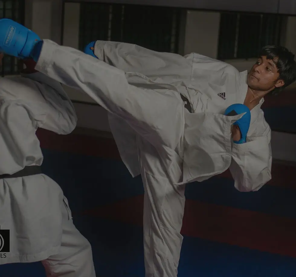Bushido Karate Academy