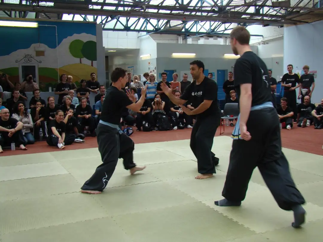 Fujian White Crane Kung Fu