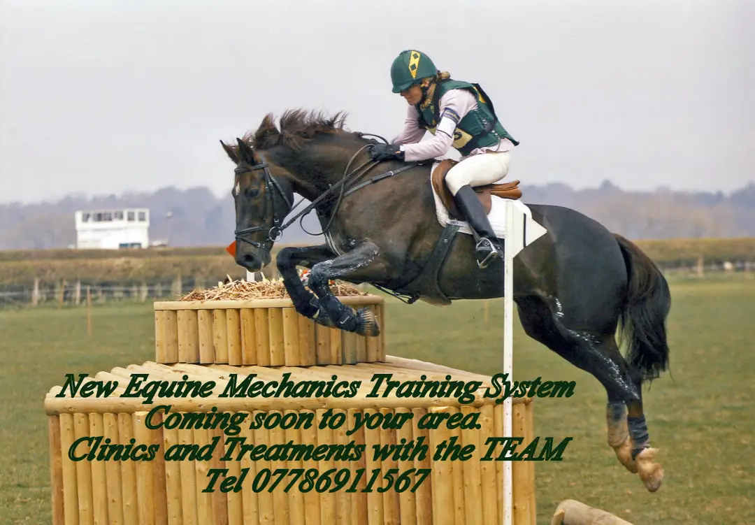 Ridewell Training
