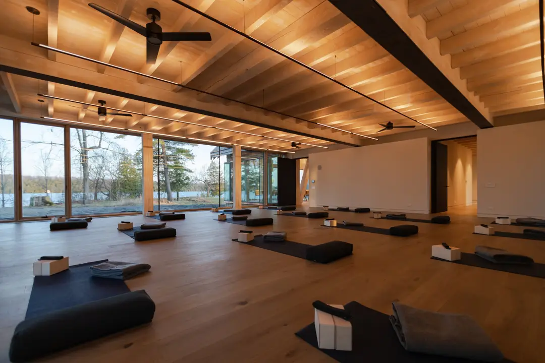 Lakeshore Yoga with Emily