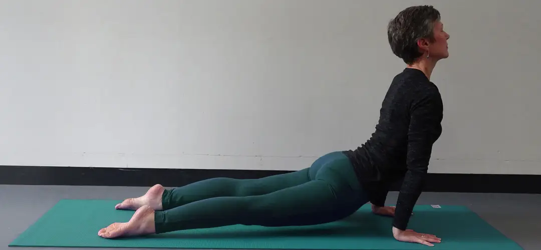 Susan Stephenson Yoga