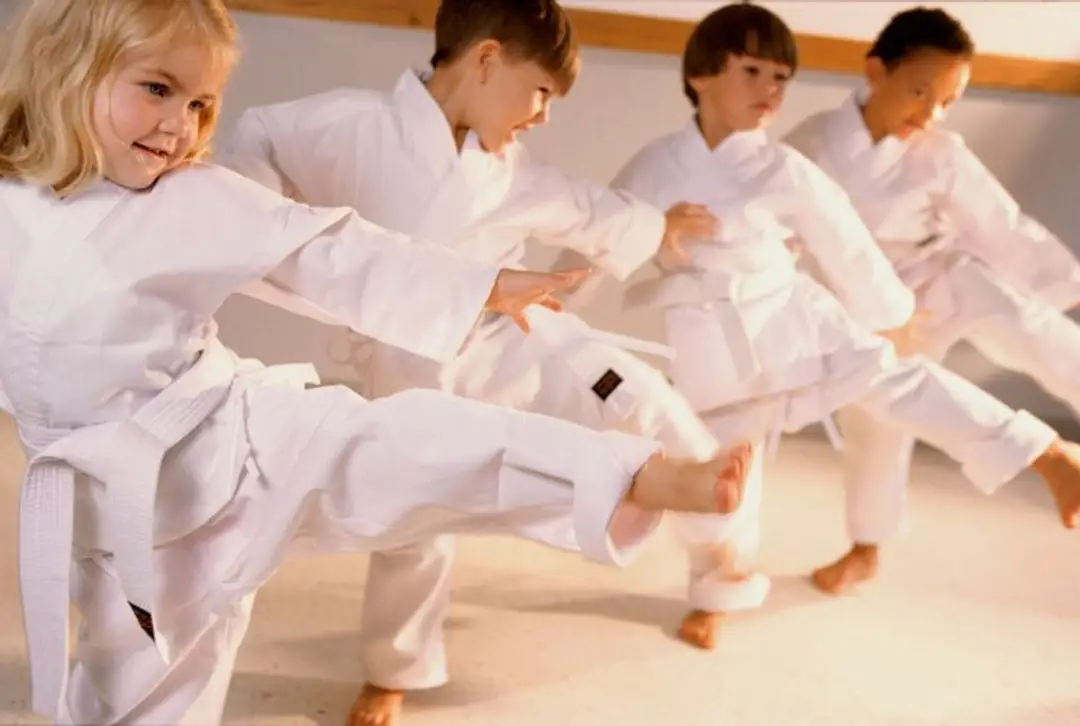 Rikai Karate Stockland Green